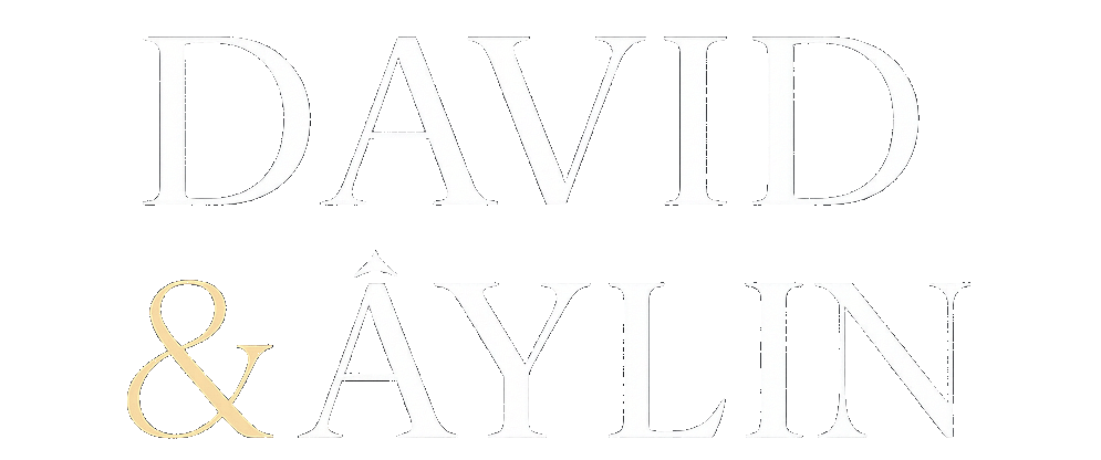 davidyaylin.com
